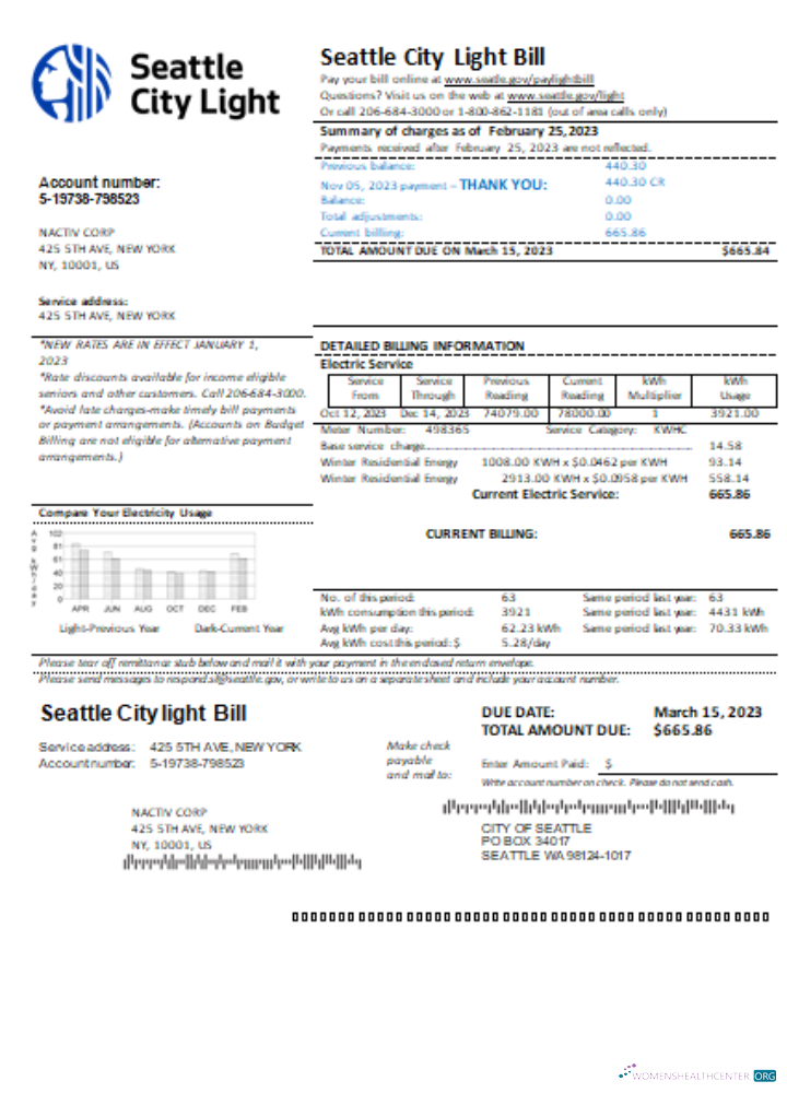 Download Washington Seattle City Light utility business bill, SCR Photoshop template